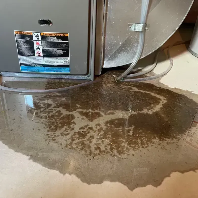 Appliance Leak Cleanup in Colorado Springs, CO